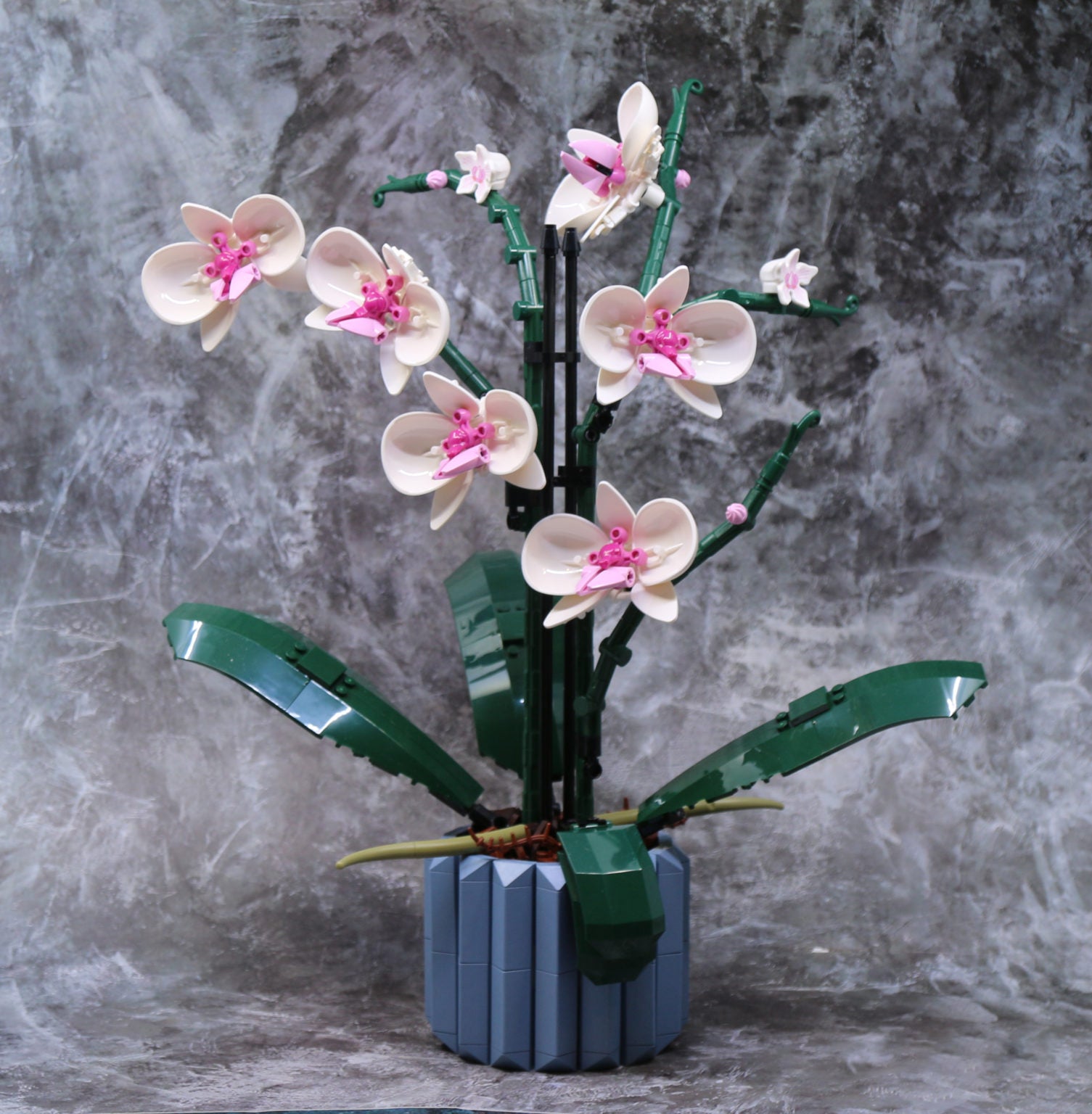 Creative Thinking Orchid Toy